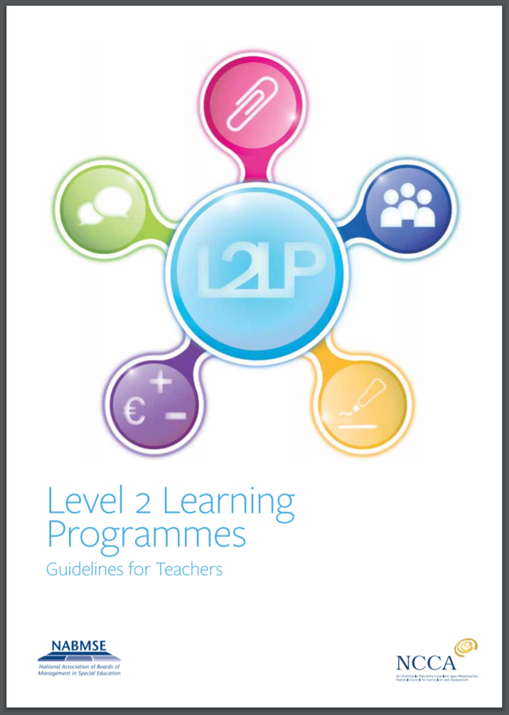 Level 2 Learning Programme Guidelines